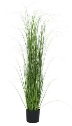 Plante Artif. MARKUSFLUE H150cm Herbe