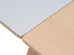 Table EGEBJERG 160/250 Gris Clair -Meubles Soldes Boutique 185691