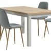 MARKSKEL L150/193 Table Gris + 4 JONSTRUP Chaises Bleu Clair