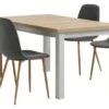 MARKSKEL L150/193 Table Gris + 4 JONSTRUP Chaises Asph./ch.